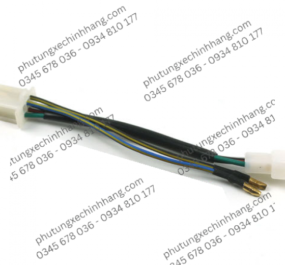 Giắc Chuyển Xi Nhan Sau Satria FI | Raider FI