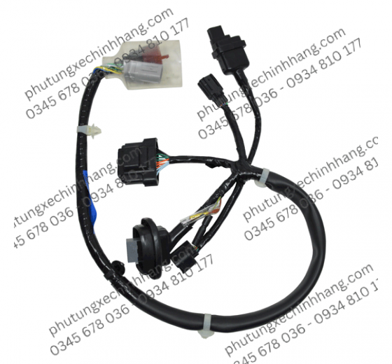 Dây Đồng Hồ Vario 2019 | Click 2019