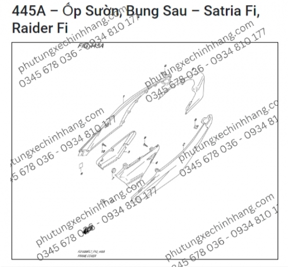 Mu Rùa Satria FI | Raider FI