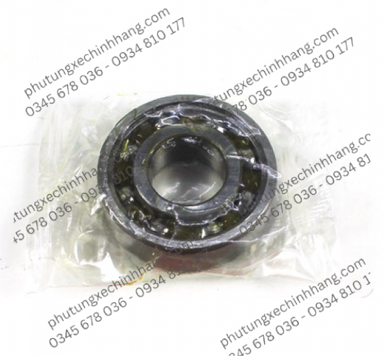 Bạc Đạn Bánh Sau 6203 – Satria FI