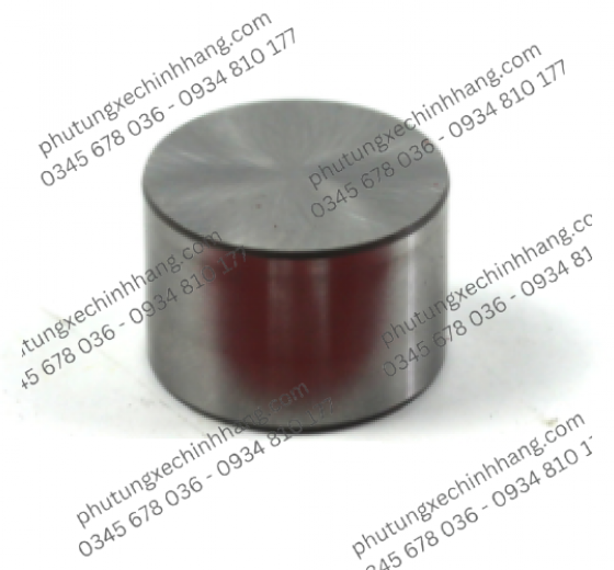 Chén Đồng Tiền GSX