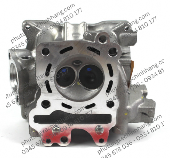 dau-bo-adv150