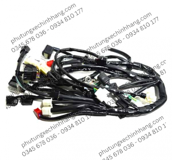 Dây Điện Sườn Honda Winner X - Tuyền Rubi