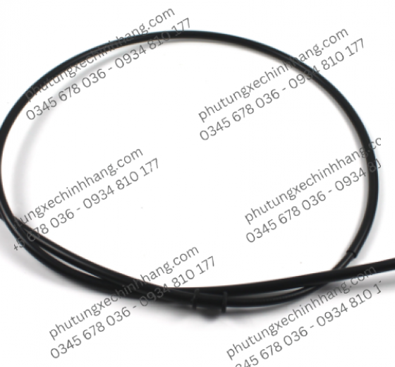 day-thang-sau-vario-2019-click-2019