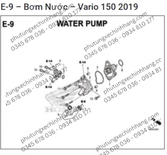 Phốt Cốt Bơm Nước Vario 160 | ADV 150 | PCX 150 | Click 125/150 (2017-2019)