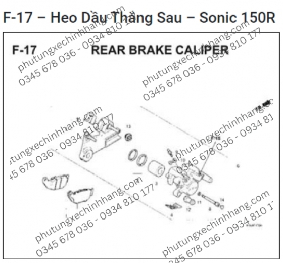 Bố Thắng Sau Sonic 150R | Winner | Supra GTR 2020 | Winner X | CBR 150R | CB 150R