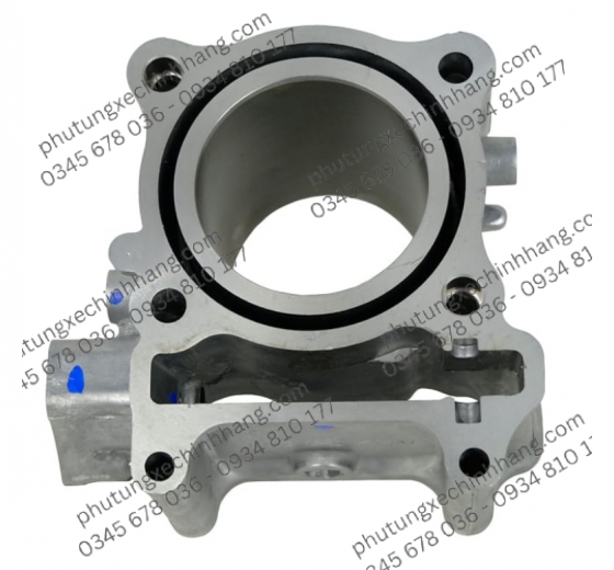 long-vario-160-chinh-hang-indo-tuyen-rubi