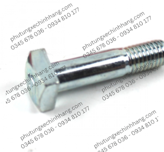 Ốc Cùi Dĩa 8×36 mm Bandit