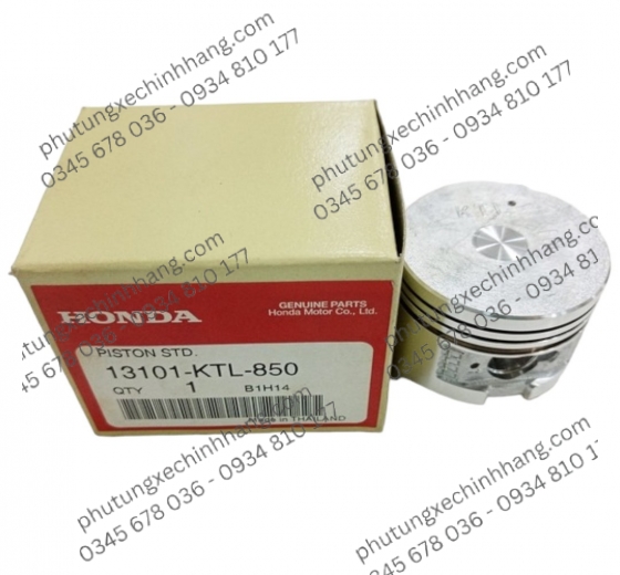 pit-tong-wave-100-thai-lan-std