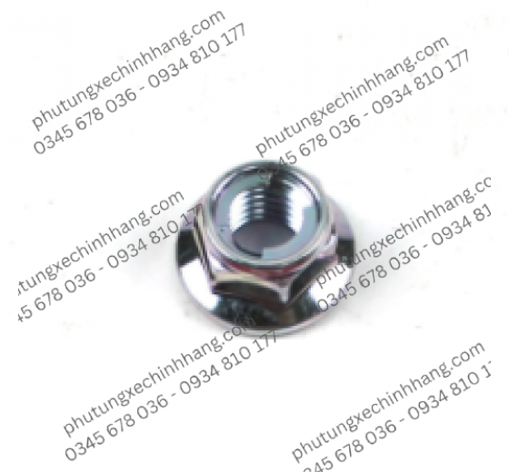 Tán Ốc Cùi Dĩa Suzuki